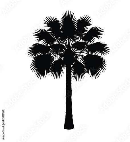 Palmetto tree silhouette. This image showcases a black silhouette of a palmetto tree, a tropical plant with distinctive fan-shaped leaves and a slender trunk. Vector clipart illustration design.