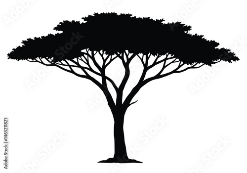 Safari tree silhouette. This image presents a black silhouette of a tree commonly found in safari landscapes, with sprawling branches and a sturdy trunk. Vector clipart illustration design.