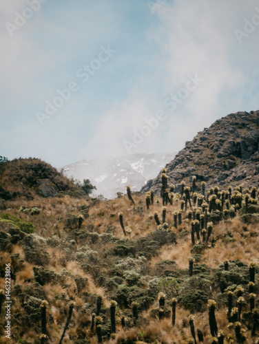 landscape of the mountains
