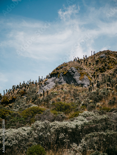 rocks in the mountains