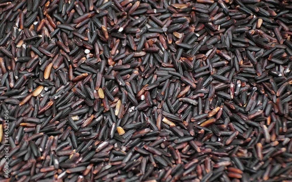 Intricate details of the Purple Thai Jasmine rice with its oblong shape and texture. Intricate details of the Purple Thai Jasmine rice with its oblong shape and texture.