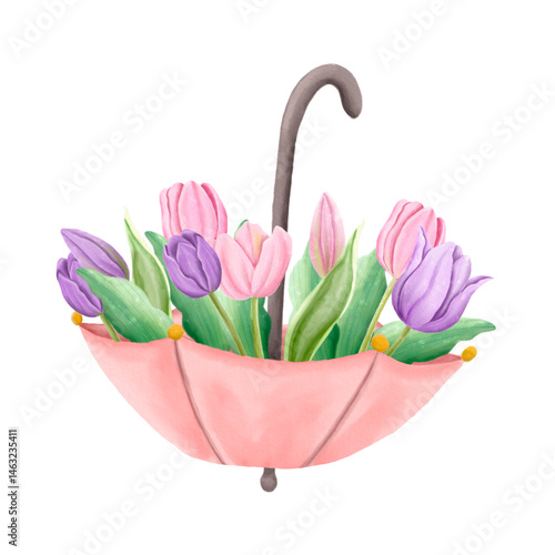 pink tulip flower