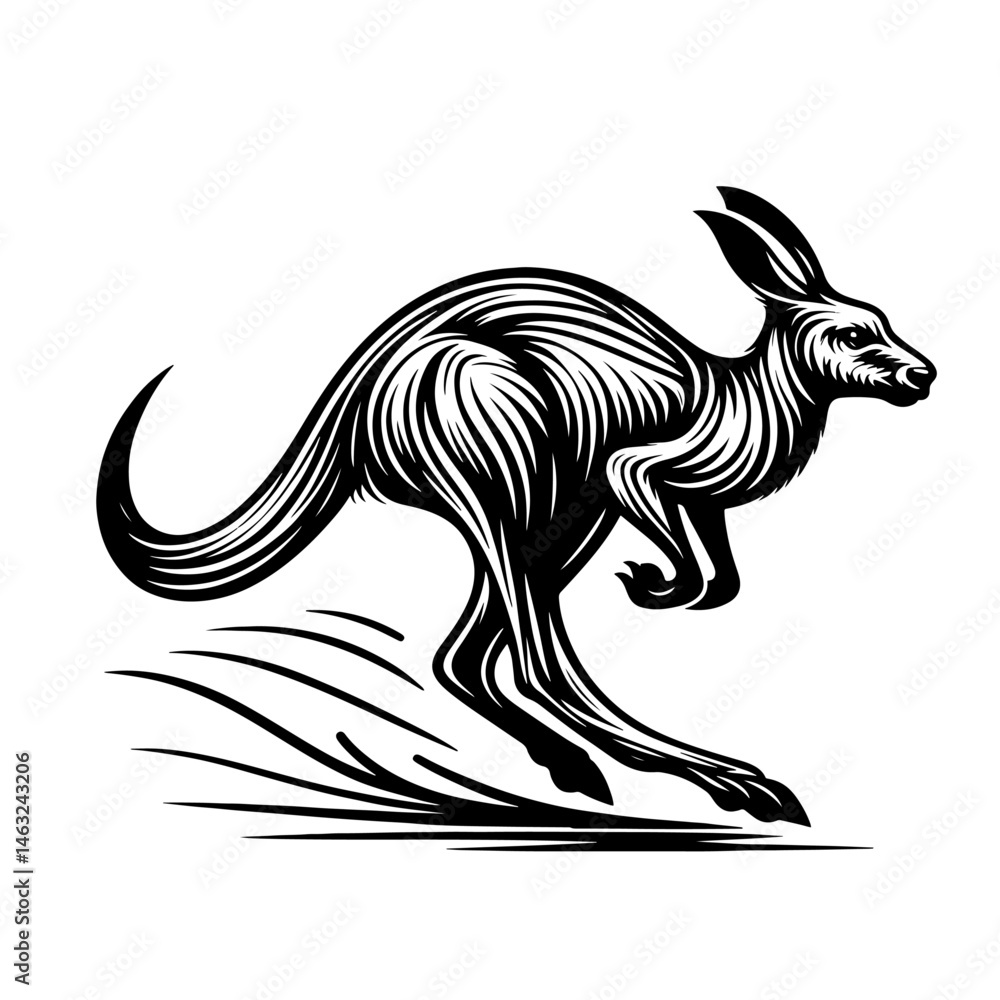 Obraz premium Kangaroo silhouette on a white background. Vector illustration of a kangaroo.