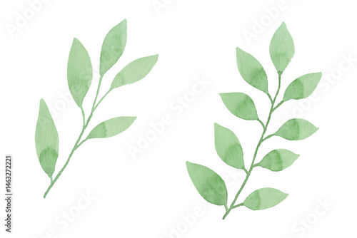 Watercolor leaves illustration set - green leaf branches collection for wedding, greetings, stationary, wallpapers, fashion, background. olive, green leaves, Eucalyptus etc