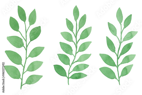 Watercolor leaves illustration set - green leaf branches collection for wedding, greetings, stationary, wallpapers, fashion, background. olive, green leaves, Eucalyptus etc
