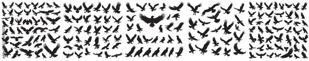 eagle silhouette icon vector selection eagle silhouette icon vector selection