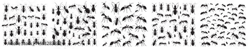 set of vector icons ant silhouettes