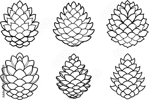 Set of pine cones outline vector illustration, line art