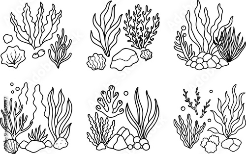 Set of seaweeds stones corals outline vector illustration, line art