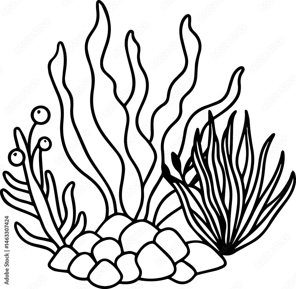 seaweeds stones corals outline vector illustration, line art seaweeds stones corals outline vector illustration, line art