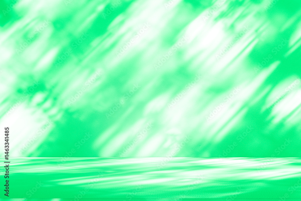 Wall interior background, studio and backdrops show products. with leaf shadow from window color green and white. background for text insertion and presentation of product