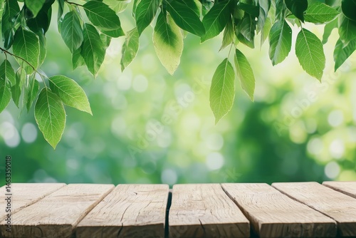 Wooden Display Platform Surrounded by Greenery