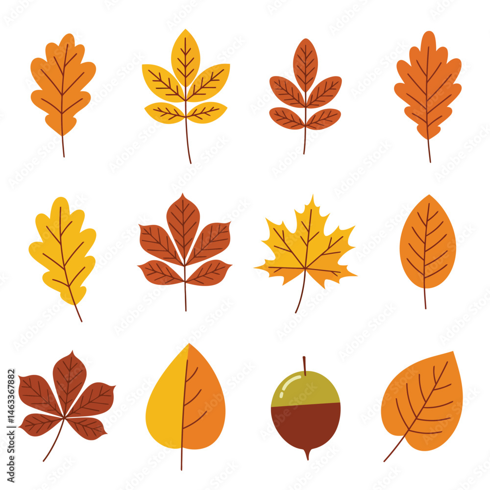 Hello Autumn: Celebrating Fall Colors Hello Autumn: Celebrating Fall Colors