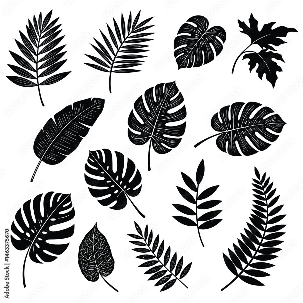 Fototapeta premium Collection of Diverse Black Leaf Silhouettes