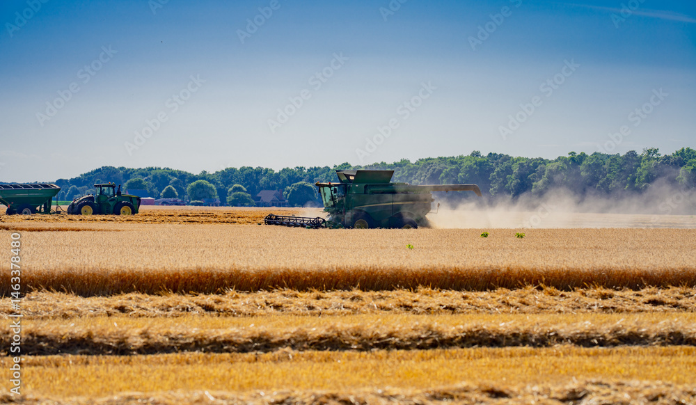 Harvest field. Straw and grain harvesting. Combine harvester in a wheat field. Harvesting on rural farm. Combine harvester machinery. Combine harvester at work. Rural landscape with a combine