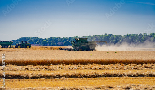 Obraz na płótnie Harvest field. Straw and grain harvesting. Combine harvester in a wheat field. Harvesting on rural farm. Combine harvester machinery. Combine harvester at work. Rural landscape with a combine w salonie