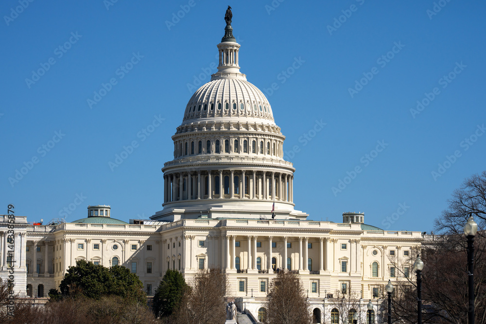 Naklejka premium Capitol dome in Washington, DC. The state capitol buildings in Washington, DC. The Congress in Washington, DC. American flag waving. The Capitol Hill in Washington, DC.