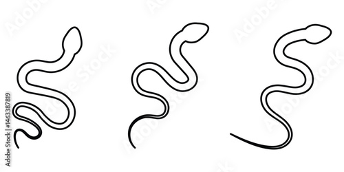 snake icon. snake icon with outline stroke.