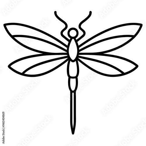 dragonfly on white background