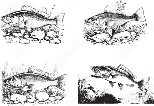 Bass Fish Svg