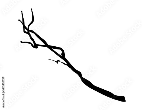 twig template vector design illustration mono color