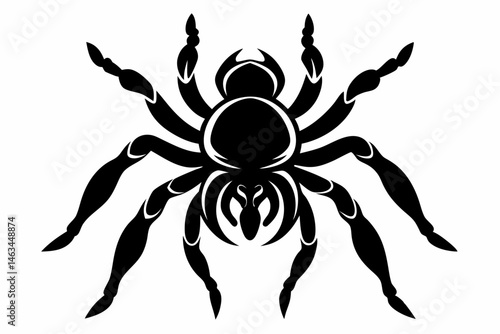 tarantula sihouette black vector