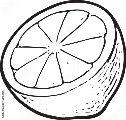 A hand-drawn black-and-white illustration of a lemon slice. Ideal for tea time designs, beverage garnishes, or kitchen graphics
