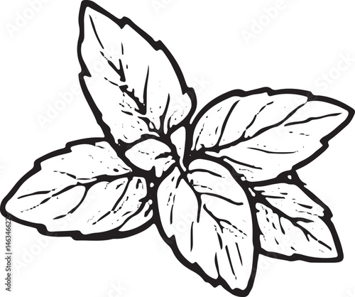 A hand-drawn black-and-white illustration of scattered tea leaves. Perfect for tea time designs, nature-themed decor, or herbal beverage graphics