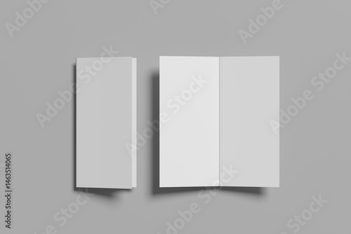 DL Bifold Brochure Blank Mockup