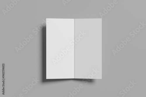 DL Bifold Brochure Blank Mockup