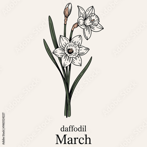 12 Birth month flowers including Carnation, Violet, Daffodil, Daisy, Lily of the Valley, Rose, Water Lily, Poppy, Aster, Cosmo, Chrysanthemum and Narcissus for printing. Vector flowers set collection.