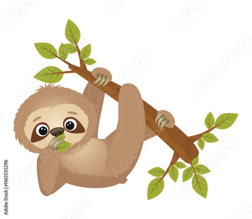 Cute cartoon sloth hanging on a branch and eating leaves. Vector illustration on a white background. Hand drawn