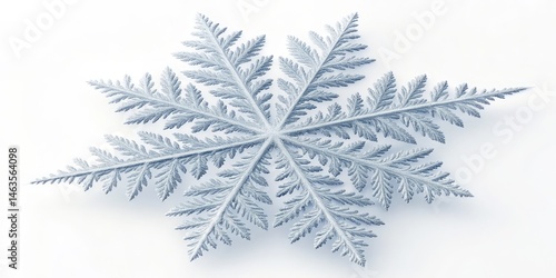 Intricate Snowflake 6-Point...