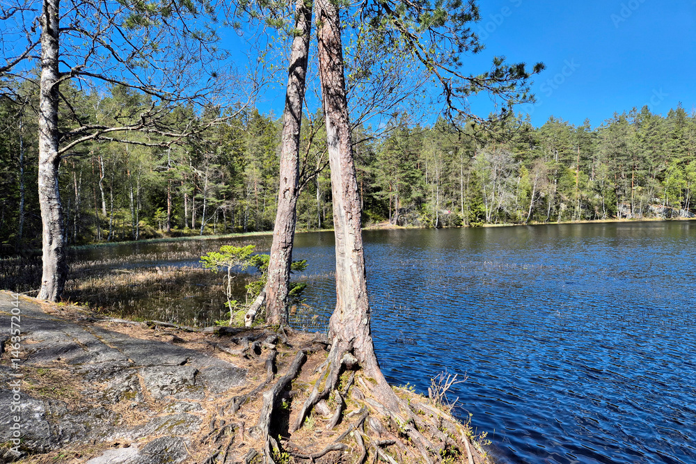 Lake