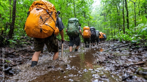 Hikers with backpacks navigate a muddy trail in a lush green rainforest during rainfall. The focus is on their legs and packs, emphasizing the