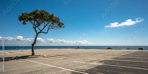 Solitary Tree in Empty Ocea...