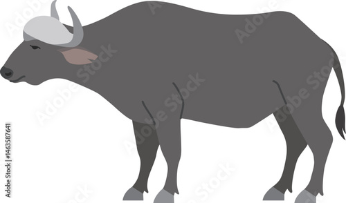 アフリカスイギュウ