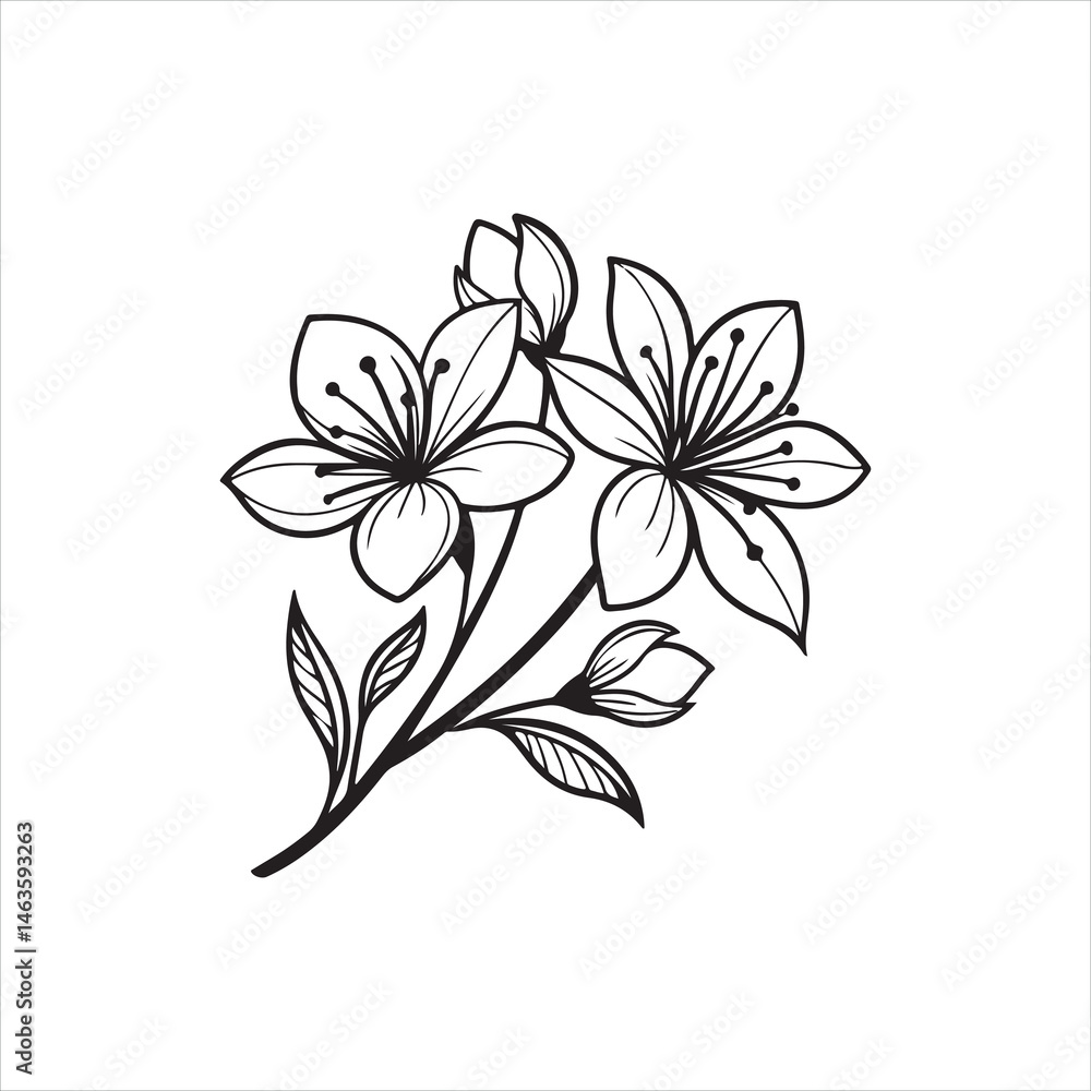 Minimalist Flower Vector Illustration Minimalist Flower Vector Illustration