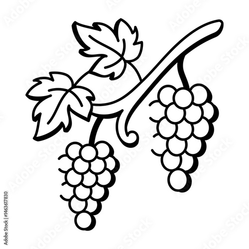 A doodle style icon of grapevine 
