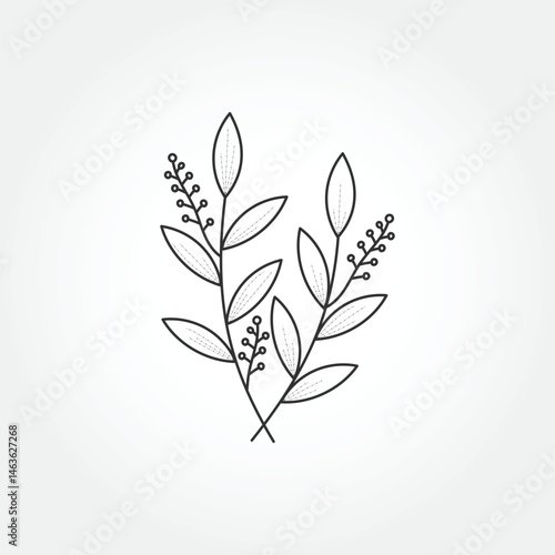 vector hand drawn leaf logo. Minimalist Flowers Simple Line Art Drawing.
