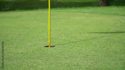 Golf Ball Sinking Smoothly into Hole – Ground Level View