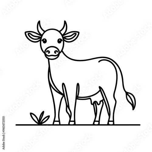 Line Art Cow Illustration, Simple Farm Animal Drawing
