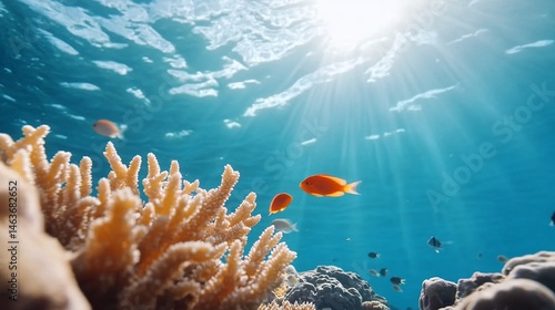 Obraz na płótnie Vibrant Coral Reef with Tropical Fish Under Sunlit Waters w salonie
