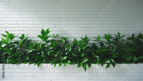 White brick wall featuring Green leaves