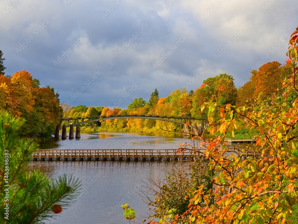 Fototapeta premium Autumn landscape on the river. Air and floating bridge. Ecology. Ogre, Latvia.