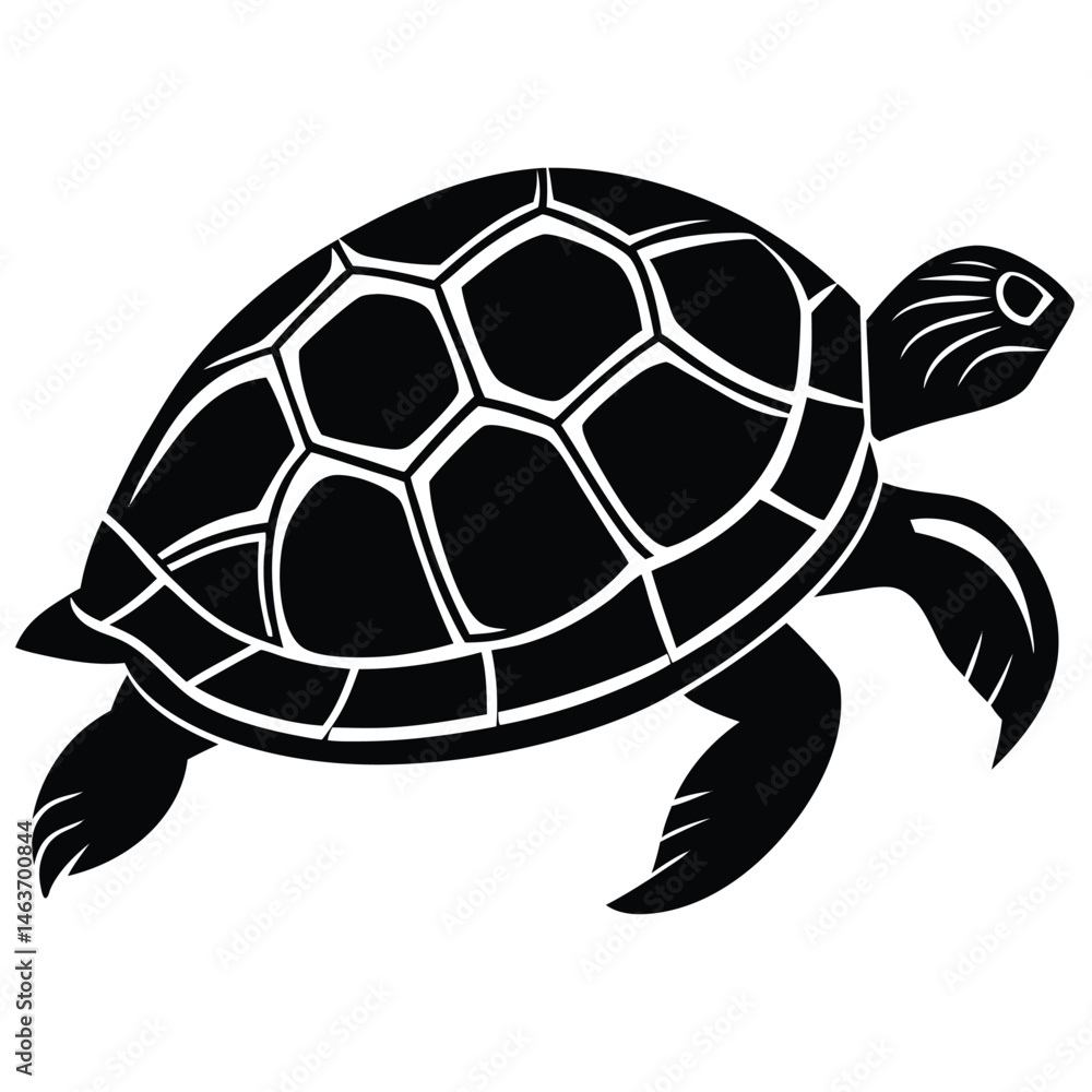 Obraz premium Vector illustration of a cute baby cartoon turtle, a slow wild reptile with a shell, isolated on white for animal and pet themes