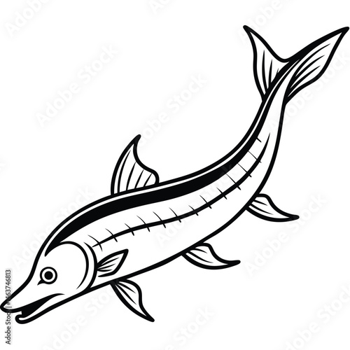 Black and White Sturgeon Fish Line Art – Vintage Aquatic Illustration