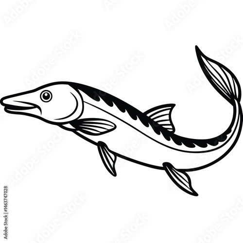 Black and White Sturgeon Fish Line Art – Vintage Aquatic Illustration