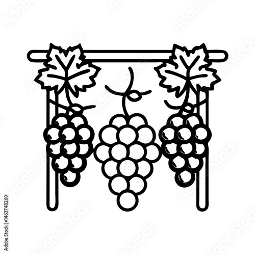 Grapes Hanging on Vine Trellis Icon Representing Grape Farming and Vineyard Growth