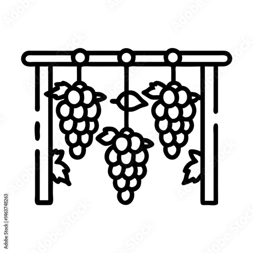 Grapes Hanging on Vine Trellis Icon Representing Grape Farming and Vineyard Growth
